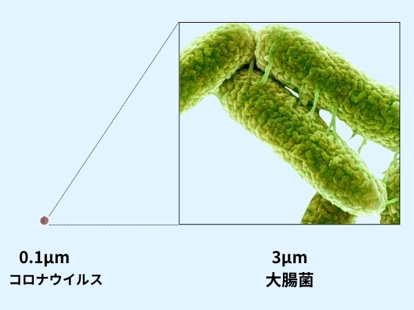 ウイルスと細菌