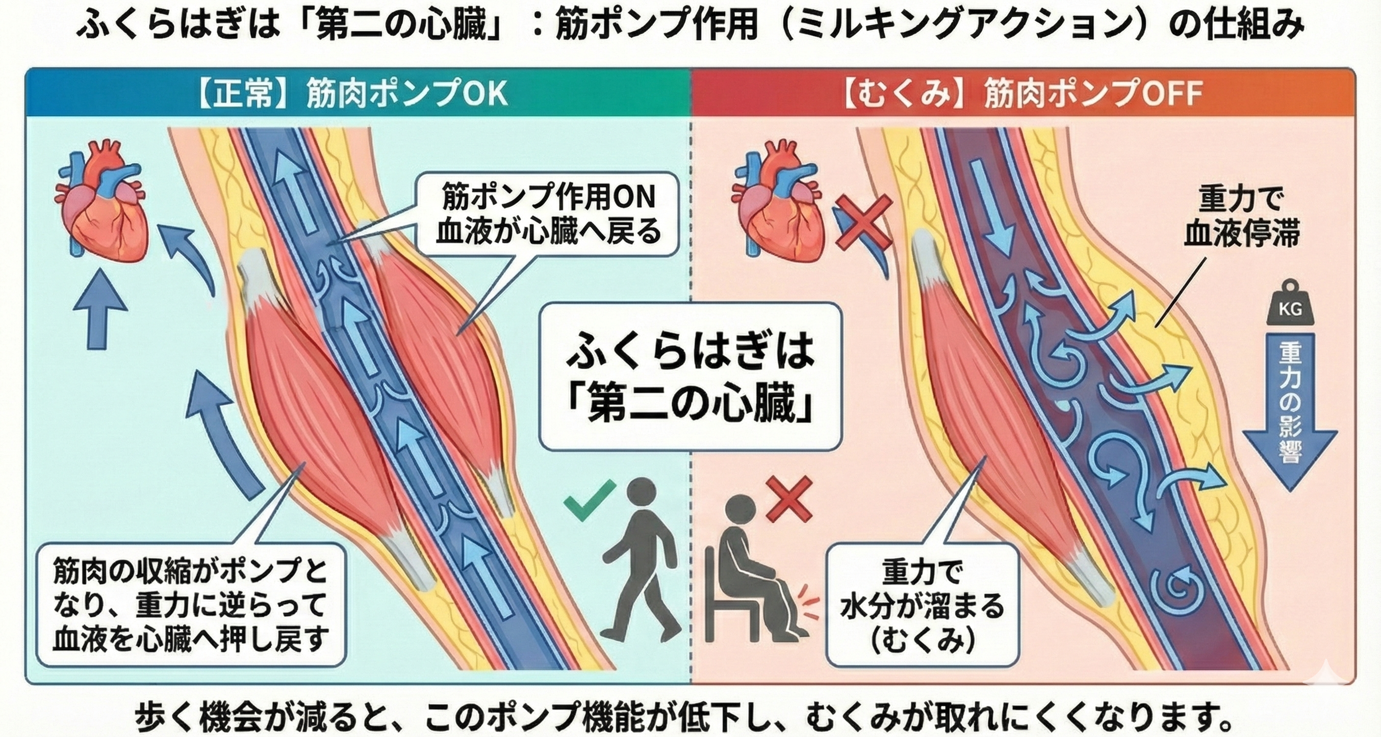 Gemini_Generated_Image_goaqoxgoaqoxgoaq